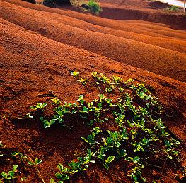 杉果新春特惠：第三轮秒杀上线，Steam 好评如潮游戏0.5折入手